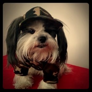 Handmade dog clothing